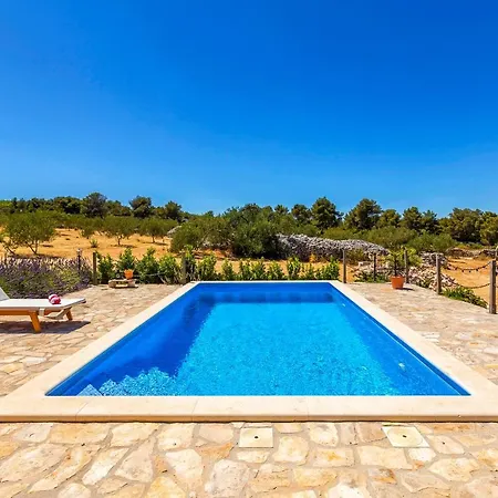 Magical Island * Mirce